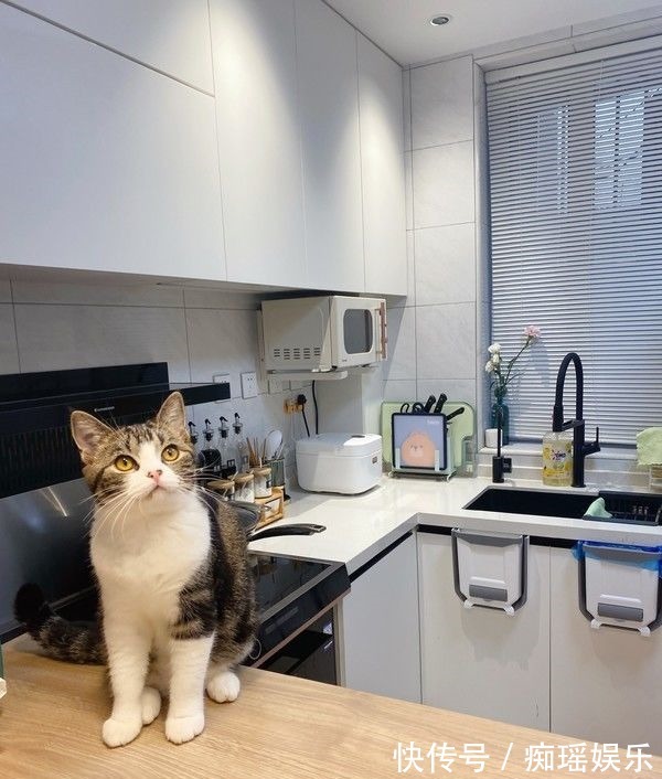 爆改|爆改43平小户型,不顾反对坚持主卧改客厅,完工后都说真香