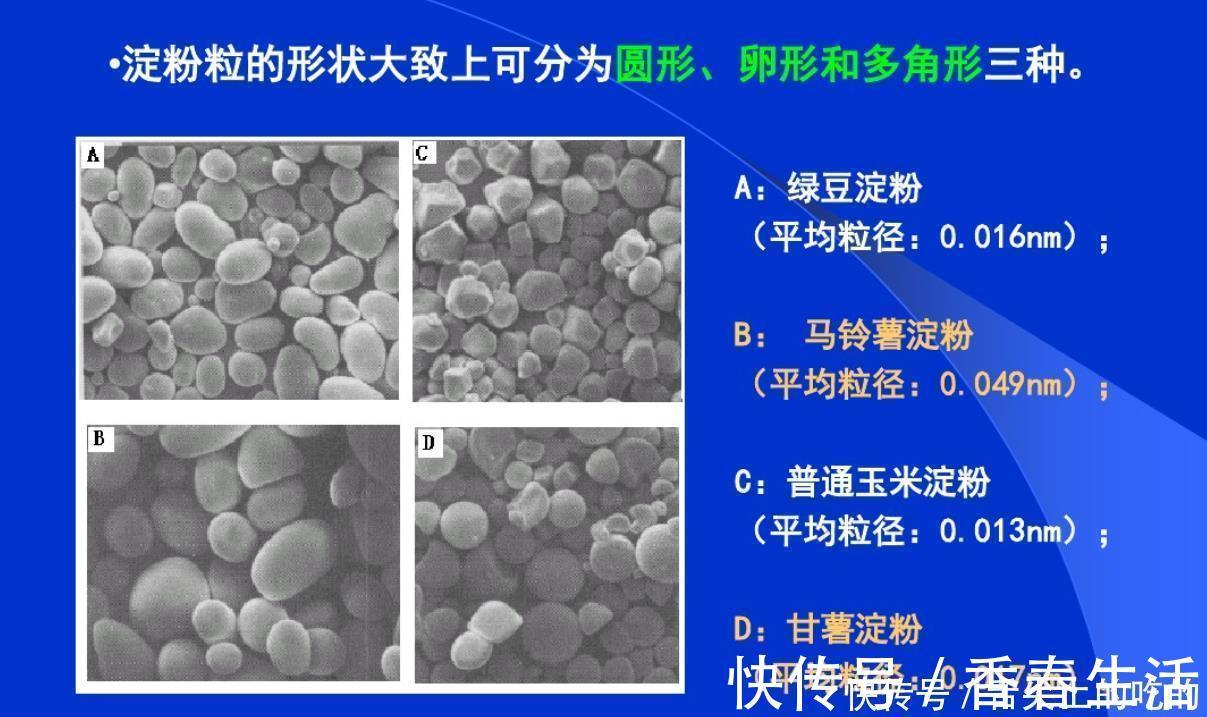 豆腐|瘦肉咬不动记住4个技巧,猪肉嫩滑如豆腐,大厨教你正确嫩肉方法