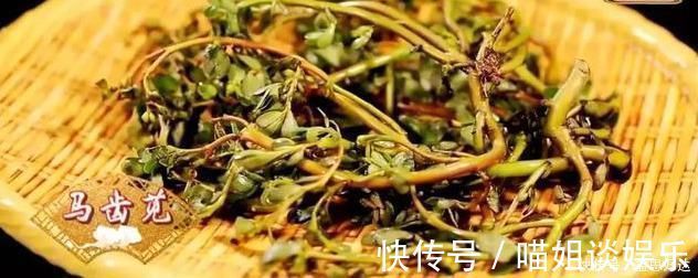 抗菌|救命的马齿苋,99的人不知道的作用再不吃就晚了
