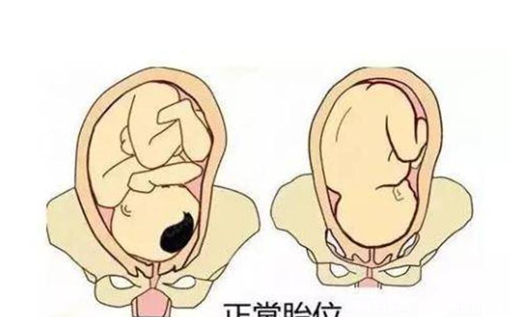 宝宝|怀孕后多久,胎位就要固定了?这个孕周前,孕妈还能“调乾坤”