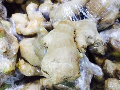 红薯|土豆生姜红薯发芽后能不能吃危害健康的事情不要做