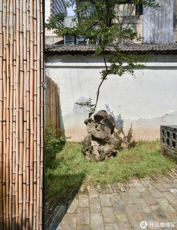 中国文化|南京建筑师夫妻之家，仅58平却自带两片园林，诗意生活惹人羡慕