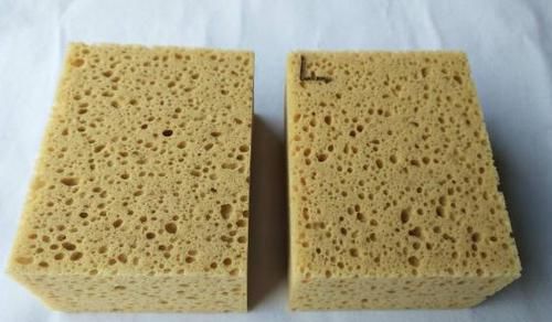 养花小妙招：一块小小的海绵，就能获得这么多便利