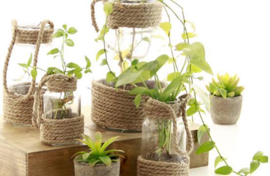 怎么将塑料瓶“一步步”打造成漂亮花盆?