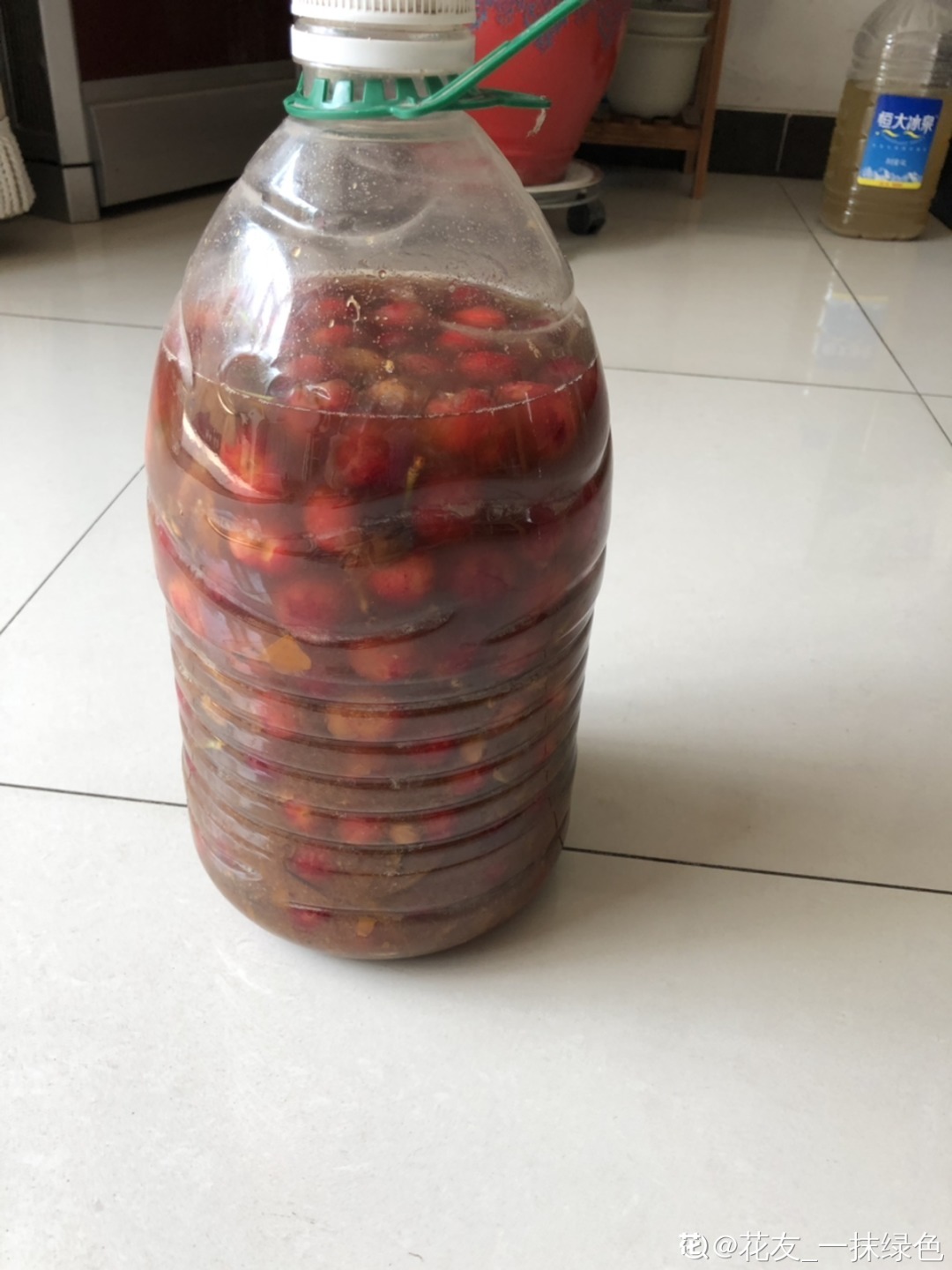 9种花真是老酒鬼,5天一小杯,叶子绿得像打蜡!