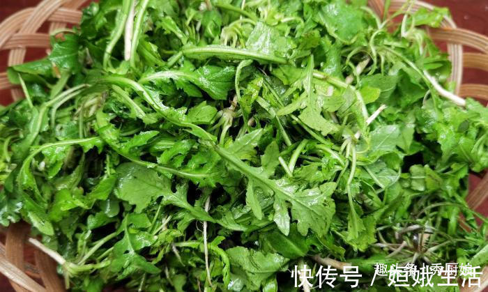 荠菜|秋天，用此菜包饺子，比萝卜白菜营养，比韭菜鲜，再不吃就过季了