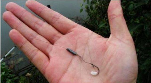 白米饭钓鲫鱼有奇效,尤其是在这个时间段,胜过商品饵!