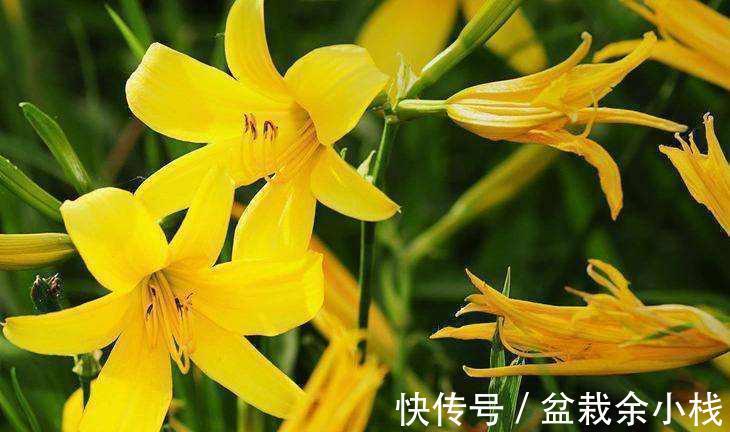 定粉酶|秋天要推荐常吃四种食物,排毒养颜、延缓衰老,早吃早好