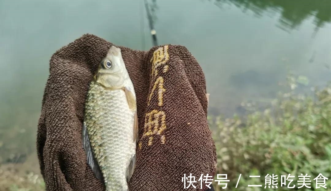 上几条鱼就停口?冬季野钓最大的难题,唯有这样解决才对路