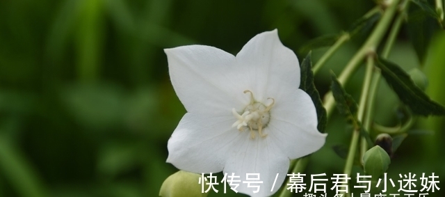 天蝎座|今年腊月运势极其好的星座，可以大财小财一起来，财神眷顾