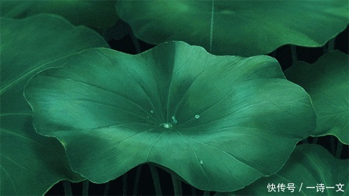 最美的不是下雨天,是曾与你一起躲过雨的屋檐