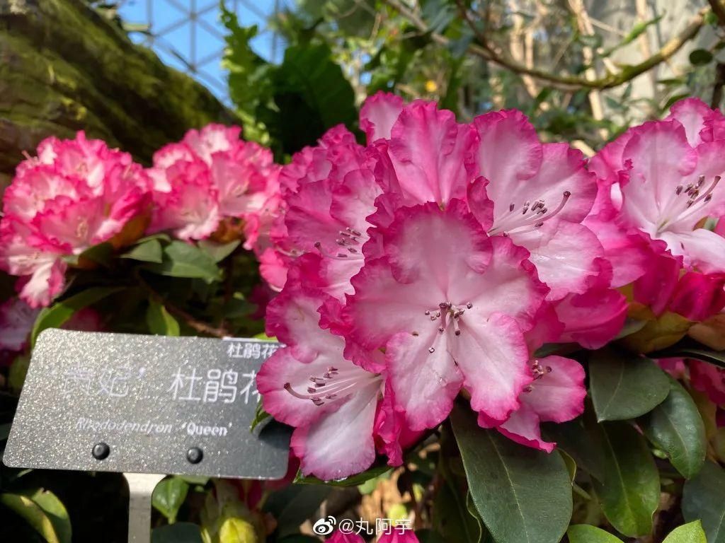 老年|留松过大年丨松江这些红红火火的地方，你去打卡了吗？