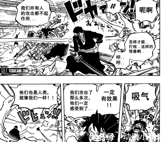 童子|海贼王1008话汉化,凯多人兽形被丑哭,罗开始分兵解决两大四皇