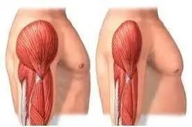 肌少症|腿粗点是好事？！趁年轻多囤点这种肉肉吧