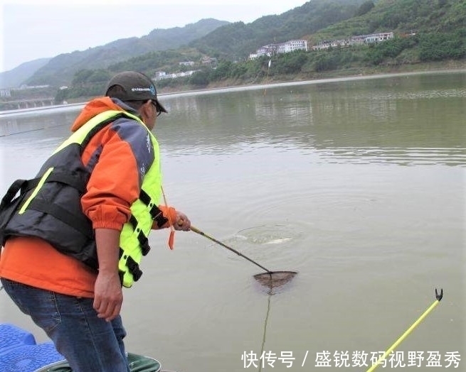 垂钓|钓鱼精准抓口其实很容易,出现这些漂相,扬竿即中鱼