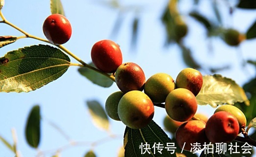 虚汗|失眠的“秘方”早被公开,喝白开水时加一点,一觉睡到大天亮