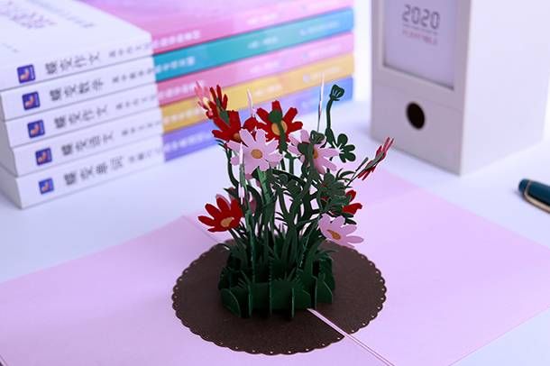 内因和外因的辩证关系