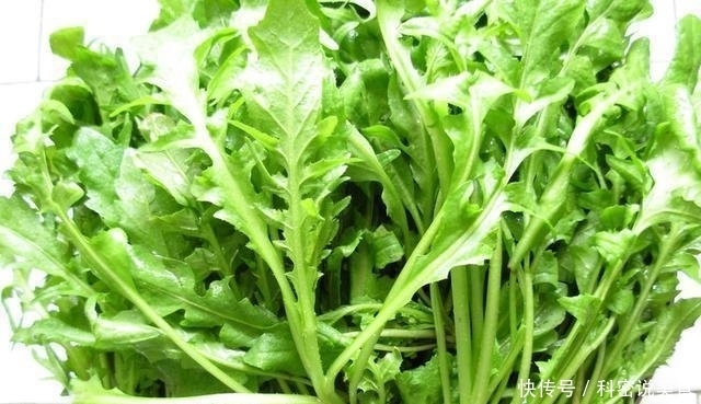 惊蛰之后,记得给家人吃“初春4鲜”,鲜嫩无比,顺时而食身体棒