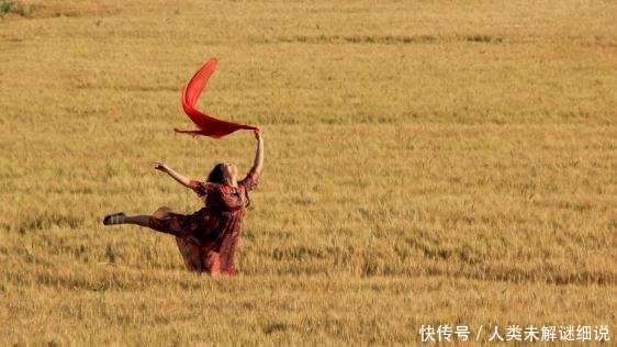 四合院|河套平原 麦香八百里！