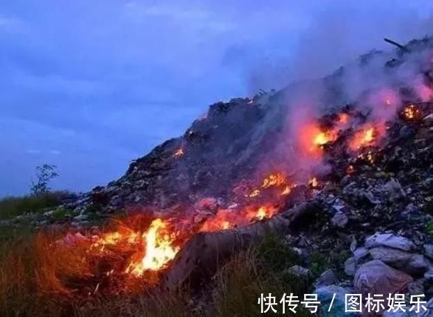 人工|人工拿掉的“胎儿”去哪了?看到这几个处理方式,眼里仿佛进了沙子