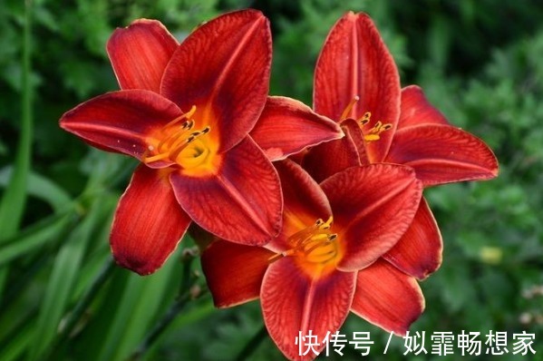 人财两空#俗话说天狂有雨人狂有祸,人再有本事,也别说这4句话!