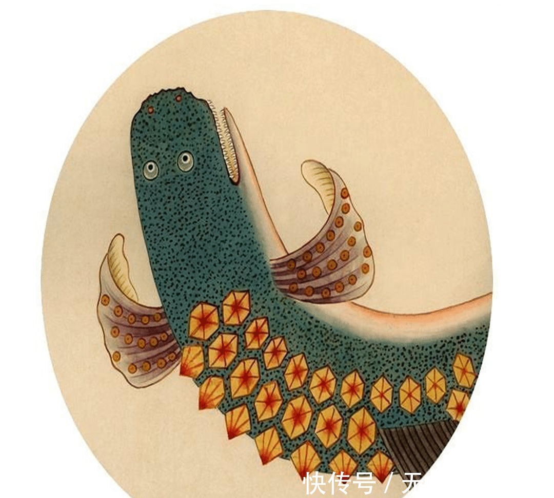 画谱|乾隆枕边翻烂的画谱,被称为清代《山海经》,画中动物达300种