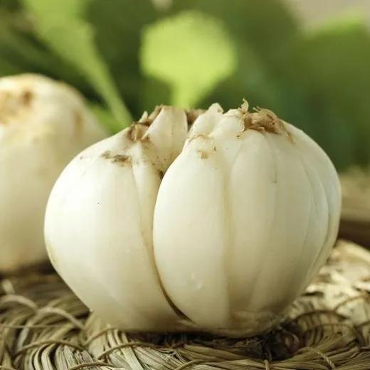 慢性支气管炎|百合养阴润肺、清心安神,怎么吃才最好中医师来教你