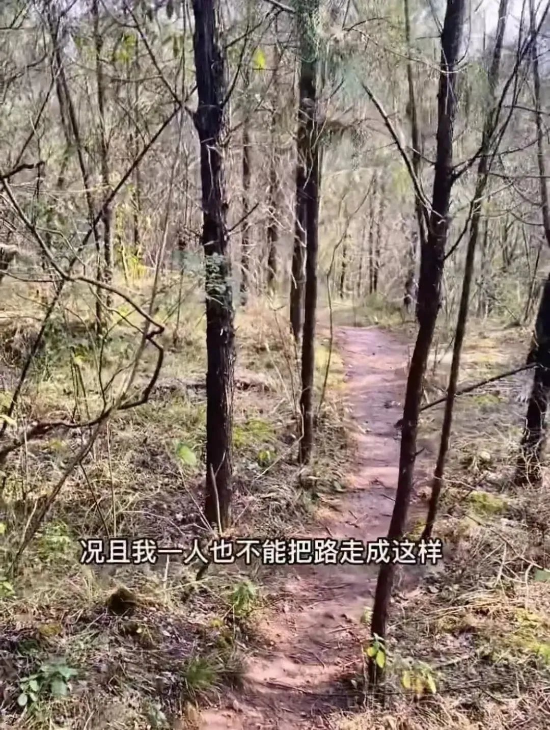 逃票|旅游博主拍视频发布“逃票”攻略！景区回应！网友热议