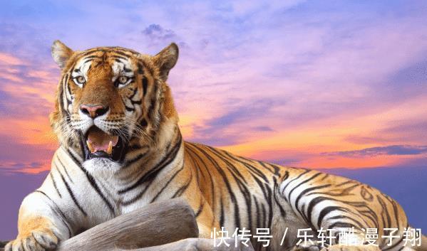 苦尽甘来|生肖狗8月贵人将至遇到要珍惜,可助你事业兴旺,苦尽甘来