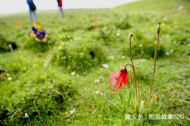 避暑|夏天避暑哪凉快，在最热时2次去过西北这座城，晚上盖棉被