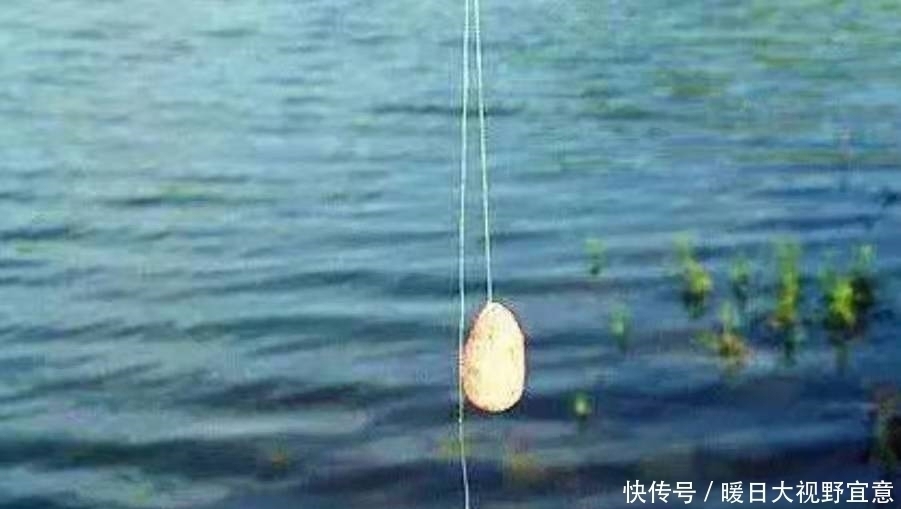 谁料这鲢鳙鱼钓法,难度不大,效果却出奇的好!现在用刚刚好