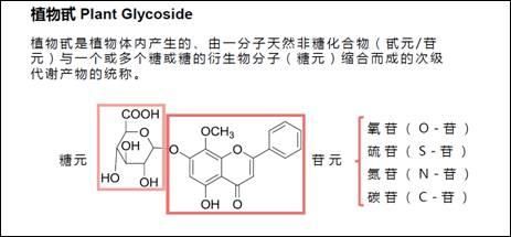 口腔护理|无限极研发工程师分享中草药应用于口腔领域的研究思路