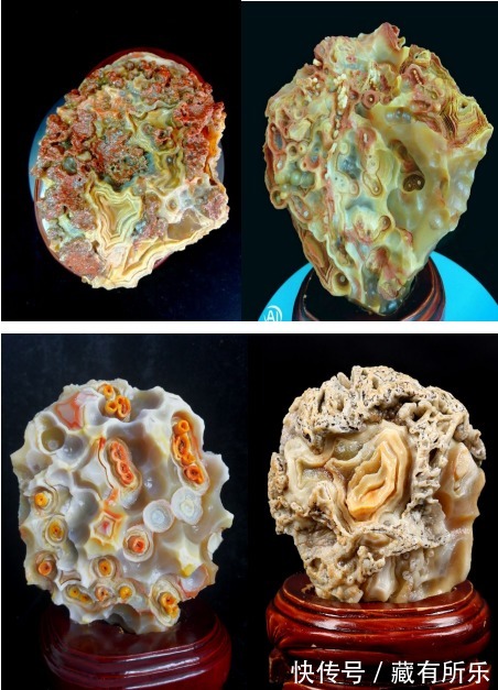 蛋白玛瑙《百变金刚》令人颠覆三观