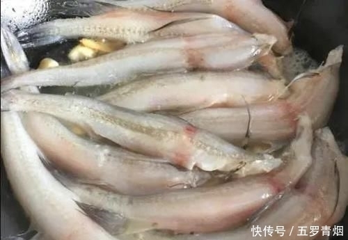 不懂吃某鱼可惜了,比虾便宜,比骨头补钙,孩子多吃更聪明