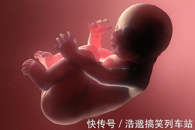 腹壁|胎儿总在夜间胎动，可不是胎儿太淘气，背后原因孕妇别大意