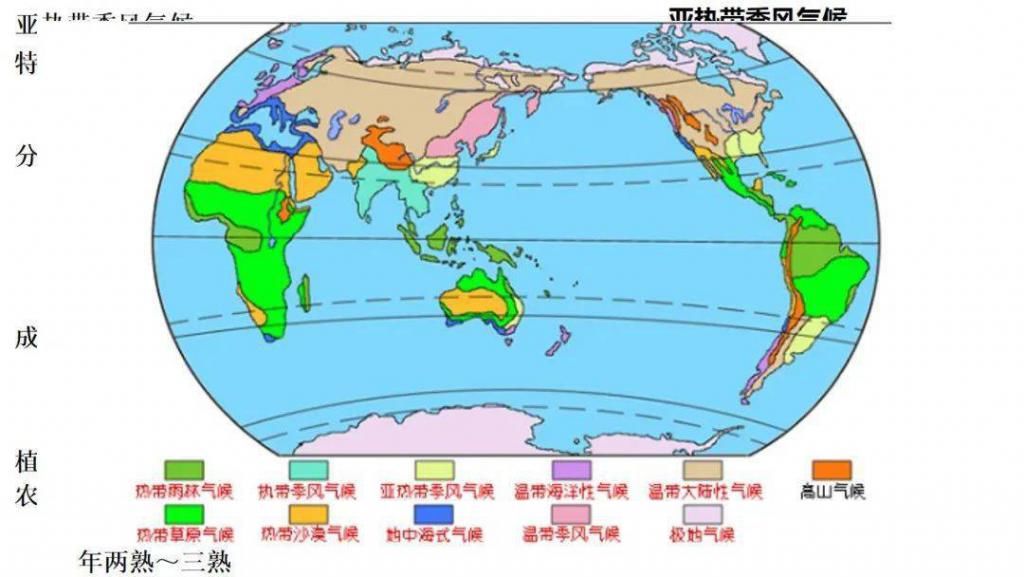 世界气候类型（高三一轮复习）