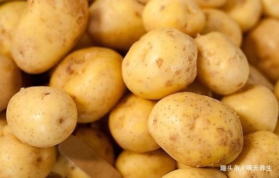 保护|长寿老人爱吃的此种食物，保护心脑血管、帮助消化，了解下