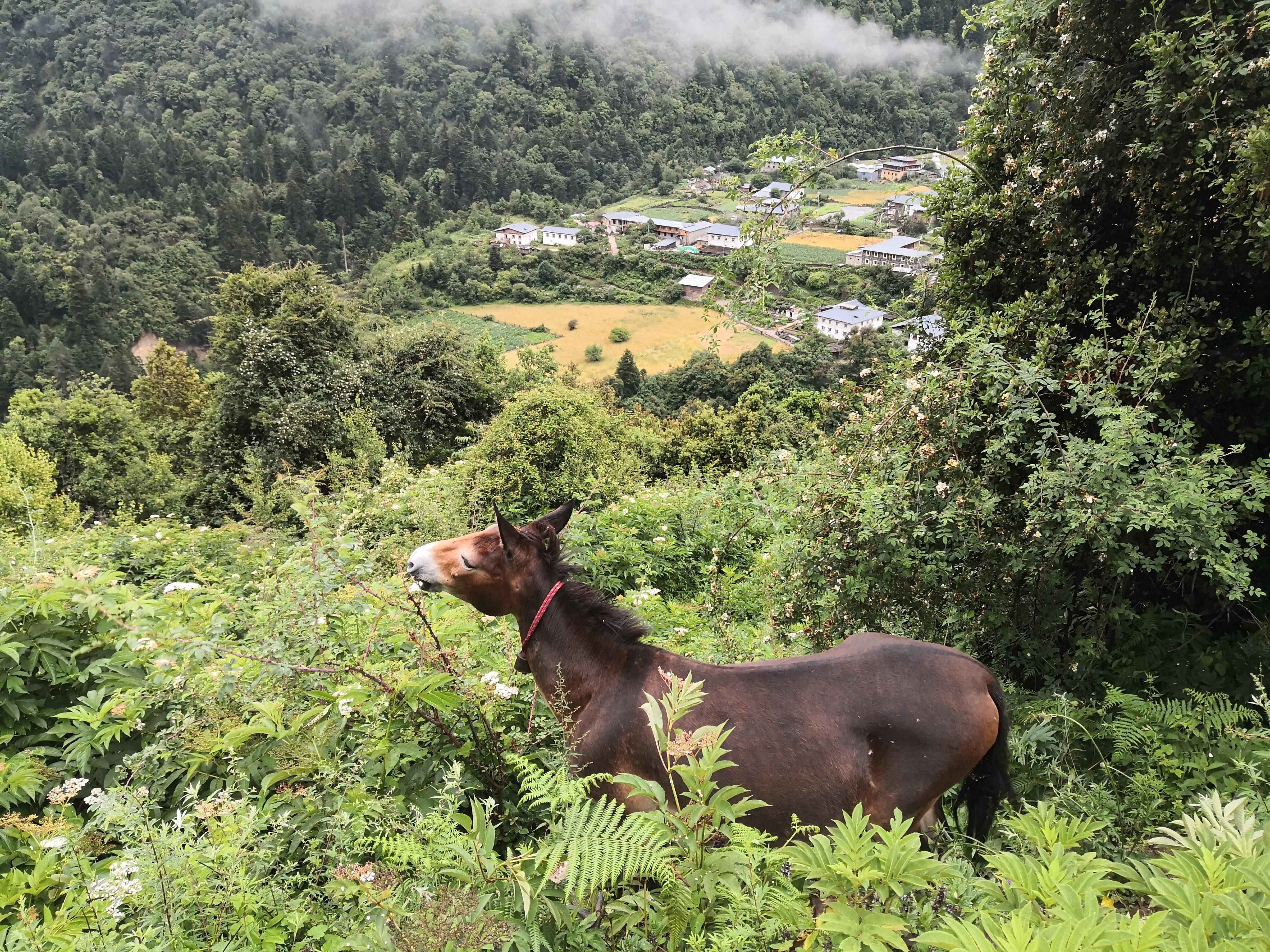 西当|#北京现代第七代伊兰特#不去天堂，就去雨崩