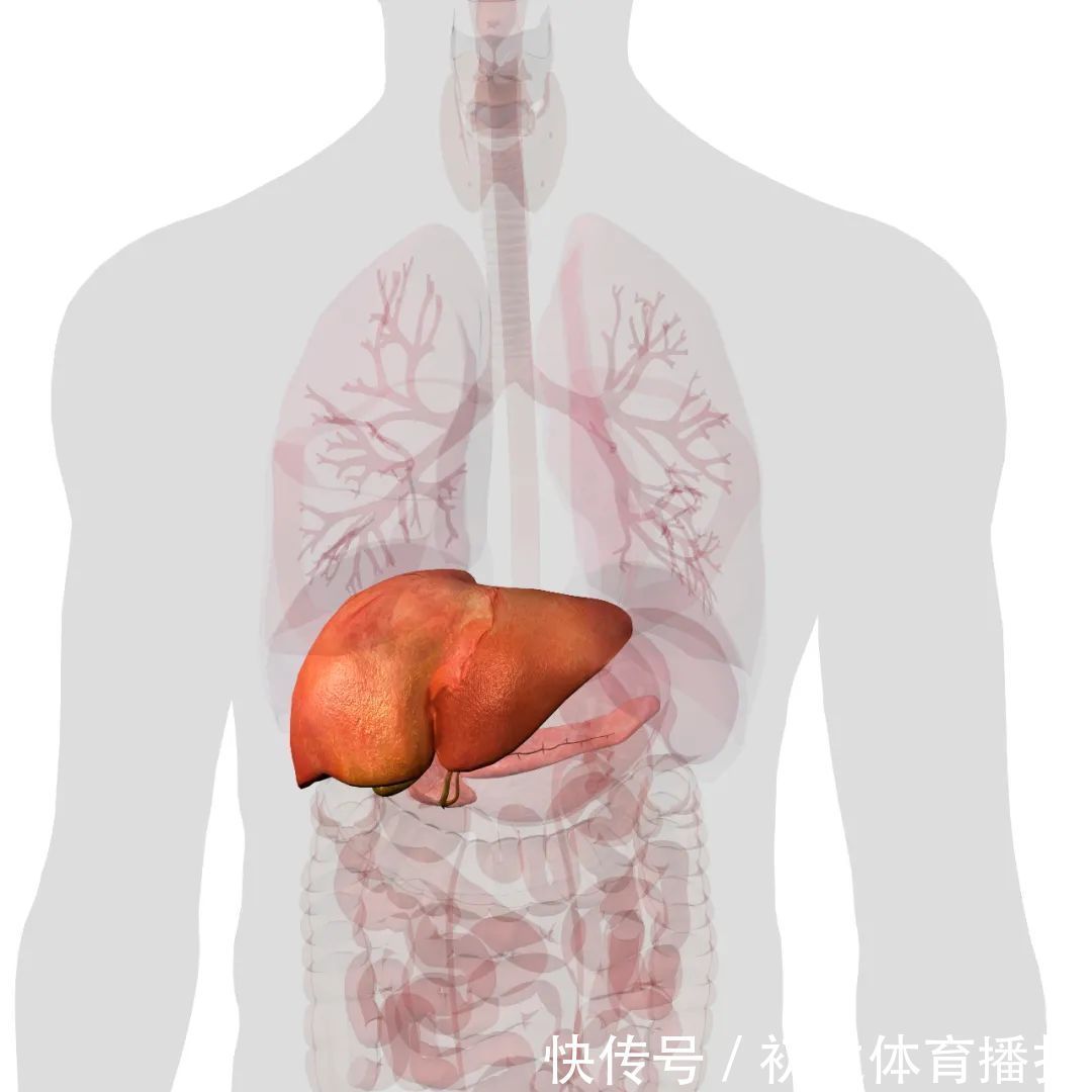 十二时辰|半夜3点醒,肝不好,5点醒,肺不好!四招远离失眠,一觉到天亮!