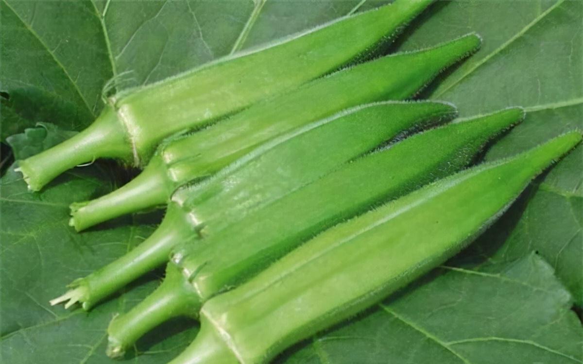 男性朋友|它们被称“天然雄激素”?男性再穷也要多吃,或许让你更有男人味