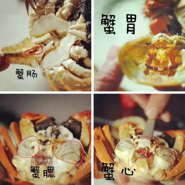 清蒸螃蟹,直接蒸是大错!多加1步,螃蟹不掉腿不流黄,鲜嫩美味