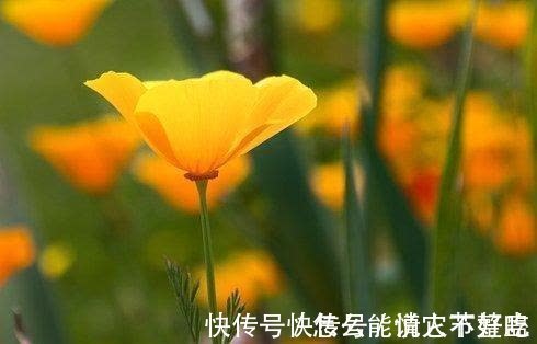 一部份|7天后，否极泰来，不能错过，旧爱回首，赢得挚爱，情深意更浓