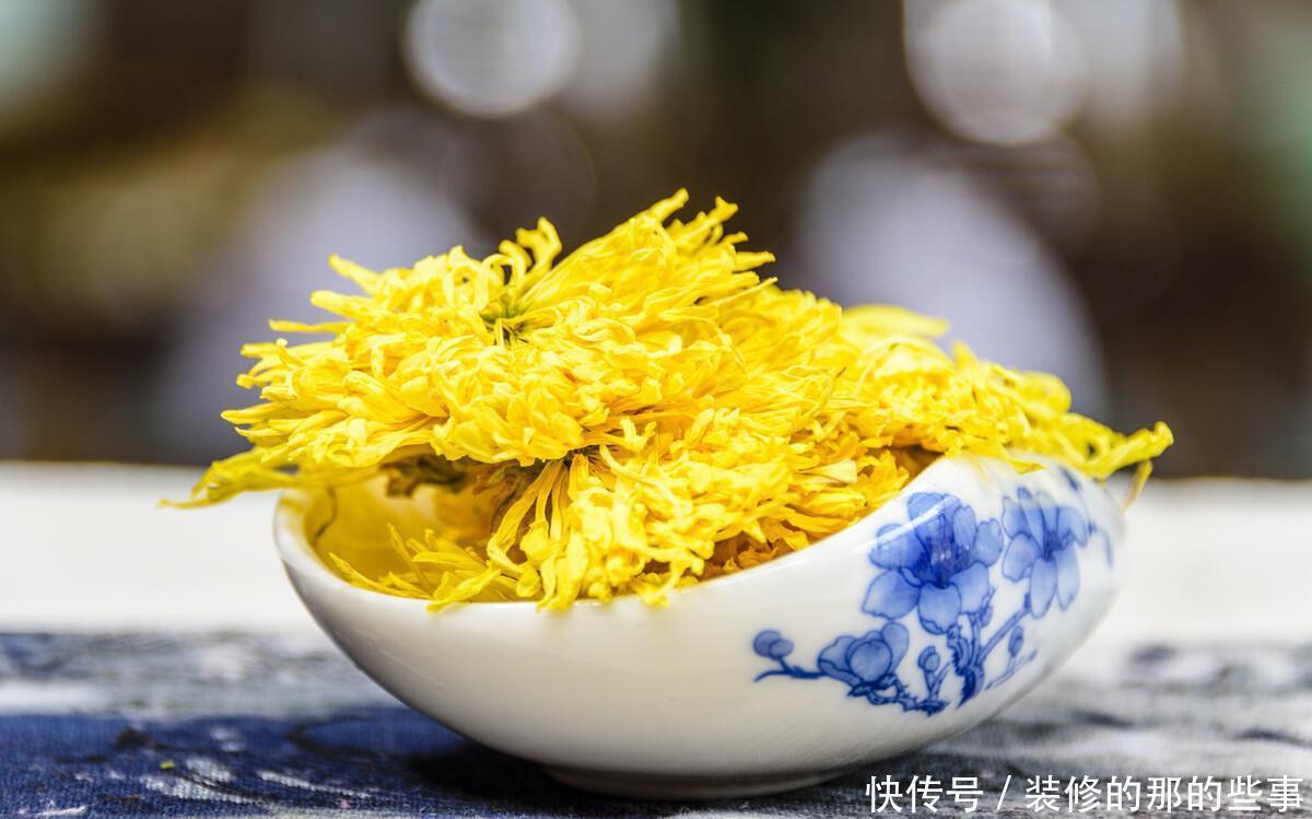 美容养颜|常喝菊花茶,会有6大好处,不过4大饮用禁忌,希望你能知道