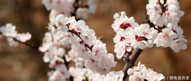 名篇|宋朝诗僧独自外出游玩,看到迷人的风景,写下一首唯美的千古名篇