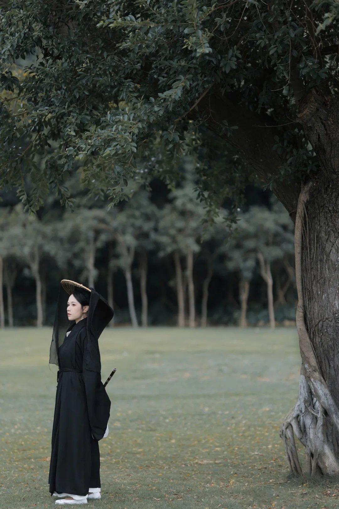 江南|一声丝竹起，何处不江南