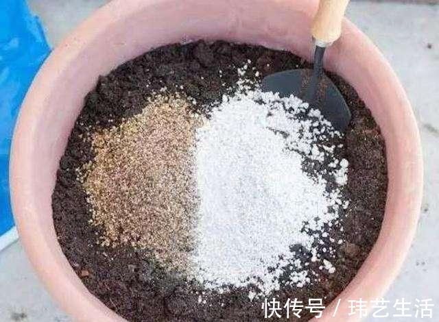 旧土|这4种土不能养花，很容易招虫烂根，养啥花都活不久