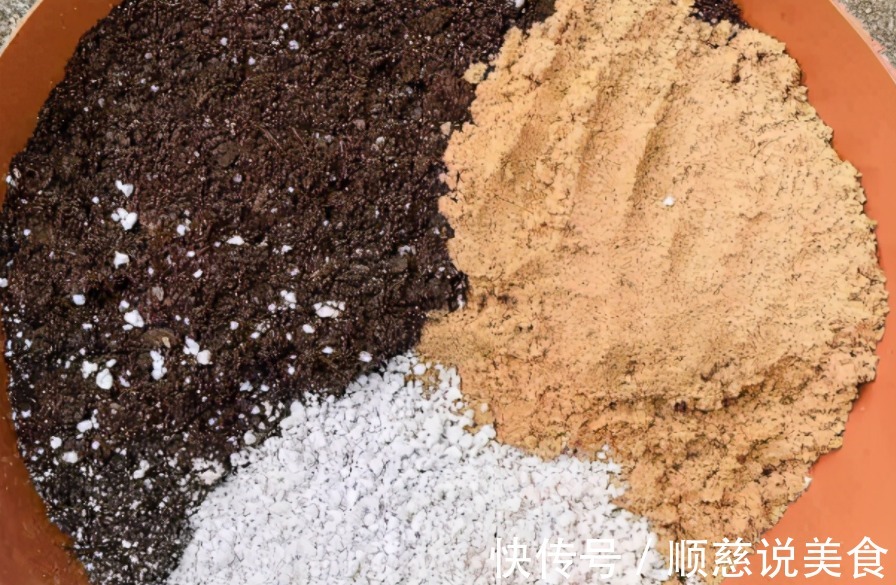 养花其实不用买土,这么配置万能营养土,有营养又透气