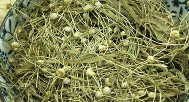 河边一种植物，酷似节节草，南北多有，治一切头风痛，目疾等证