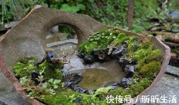 都是大爷差别真大,印象中的大爷只会挤公交,而他用破缸做盆景