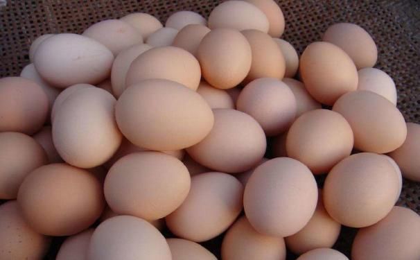脂肪量|给孩子吃鸡蛋不是最营养的？鸭蛋、鹅蛋营养更丰富？许多人猜错